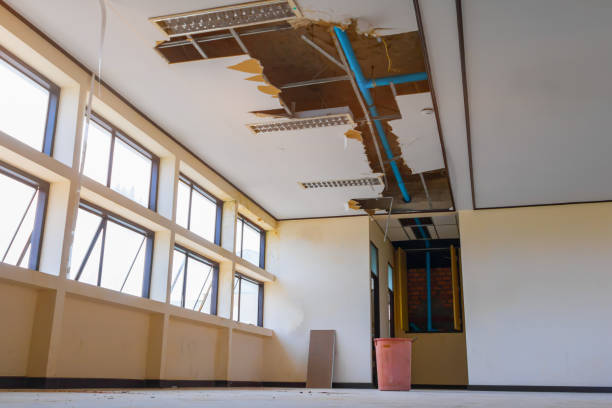 Best Carpet water damage restoration  in Jerome, ID