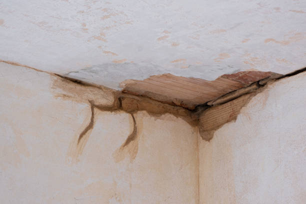 Best Fire Damage Restoration  in Jerome, ID