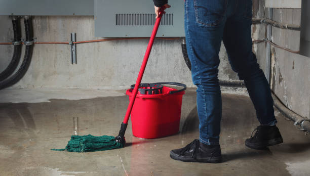 Best 24-hour water damage restoration  in Jerome, ID