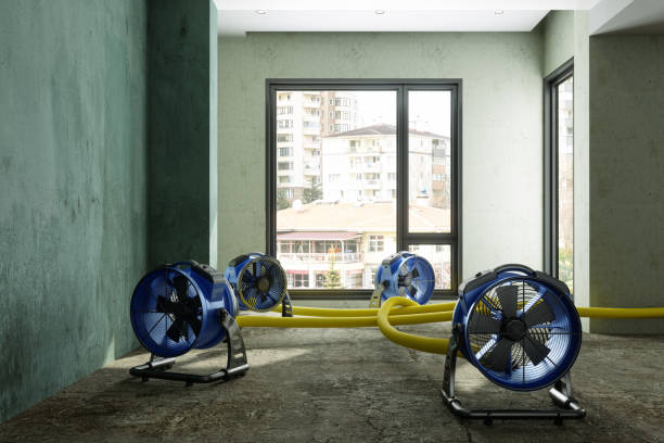 Best Water damage restoration mold remediation  in Jerome, ID